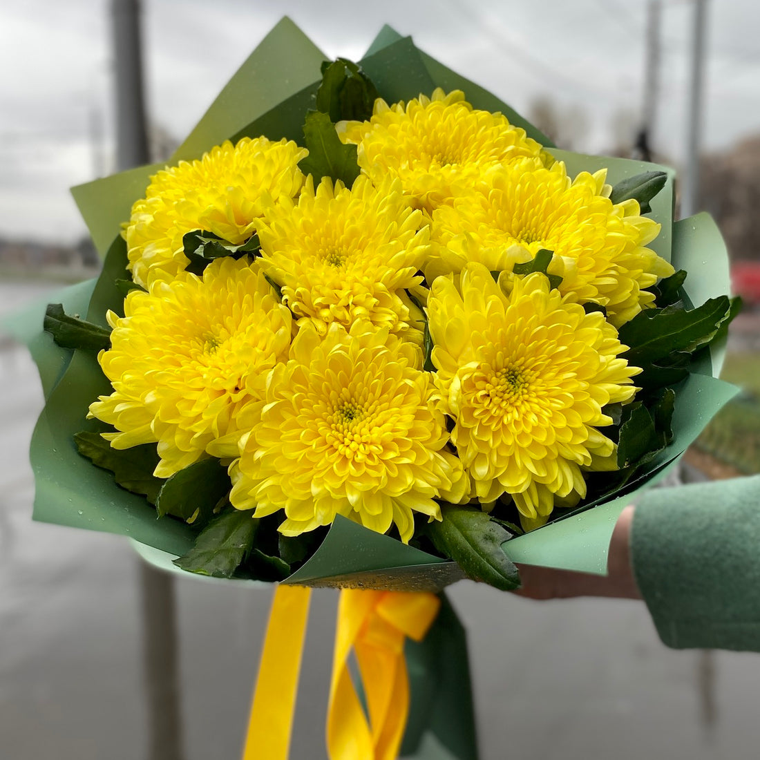 Chrysanthemums Bouquet