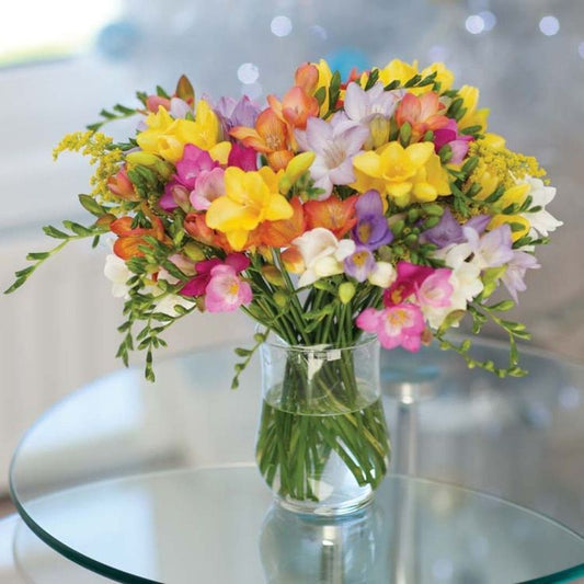 Freesias Bouquet