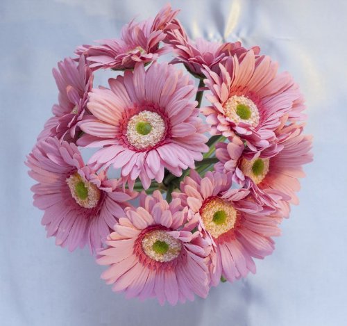 Gerbera Daisies Bouquet