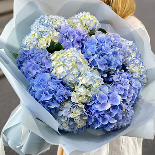 Hydrangeas Bouquet